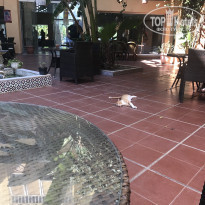 фото из отзыва ID 1870758