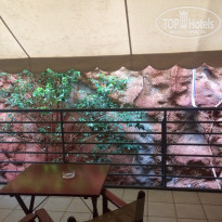 фото из отзыва ID 1870763