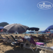 фото из отзыва ID 1870880