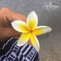 фото из отзыва ID 1870880