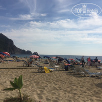 фото из отзыва ID 1870880