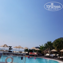 фото из отзыва ID 1870946