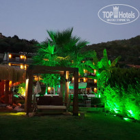 фото из отзыва ID 1870946