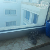 фото из отзыва ID 1870982