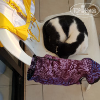 фото из отзыва ID 1871078