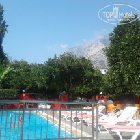 фото из отзыва ID 1871165