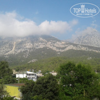 фото из отзыва ID 1871165