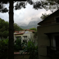 фото из отзыва ID 1870553