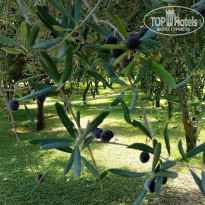 фото из отзыва ID 1871218