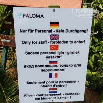 фото из отзыва ID 1871218