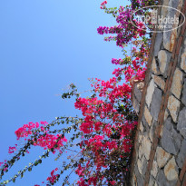 фото из отзыва ID 1871322