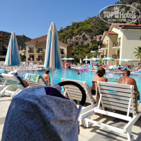 фото из отзыва ID 1871322