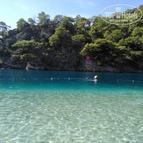 фото из отзыва ID 1871322