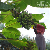 фото из отзыва ID 1871322