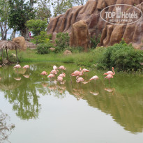 фото из отзыва ID 1871387