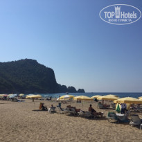 фото из отзыва ID 1871430