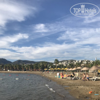 фото из отзыва ID 1871530