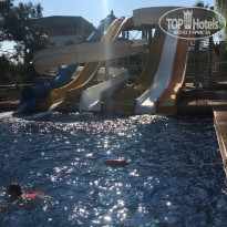 фото из отзыва ID 1871654