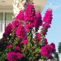 фото из отзыва ID 1871804