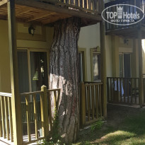 фото из отзыва ID 1871842