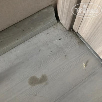 фото из отзыва ID 1871901