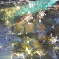 фото из отзыва ID 1871940