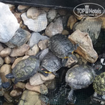 фото из отзыва ID 1871940