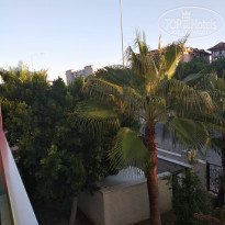 фото из отзыва ID 1871955