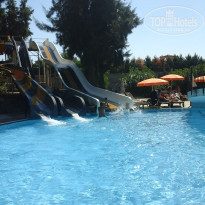 фото из отзыва ID 1871956