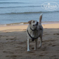 фото из отзыва ID 1871907