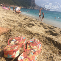 фото из отзыва ID 1871997