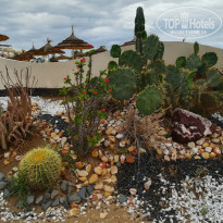 фото из отзыва ID 1872142