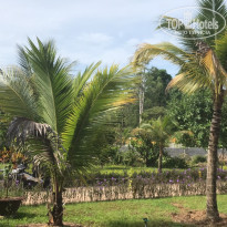 фото из отзыва ID 1872226