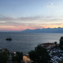 фото из отзыва ID 1872274