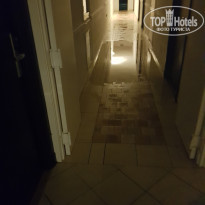 фото из отзыва ID 1871481