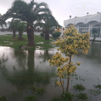 фото из отзыва ID 1871481