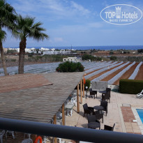 фото из отзыва ID 1872313