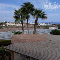 фото из отзыва ID 1872313