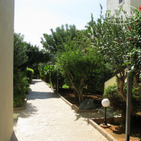 фото из отзыва ID 1872329