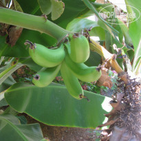 фото из отзыва ID 1872329