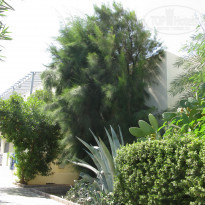 фото из отзыва ID 1872329