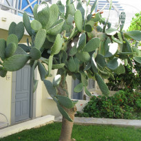 фото из отзыва ID 1872329