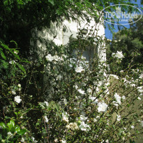 фото из отзыва ID 1872329