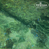 фото из отзыва ID 1872386