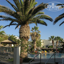 фото из отзыва ID 1872329