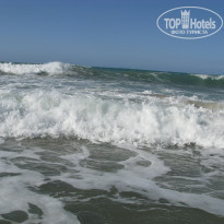 фото из отзыва ID 1872329