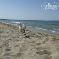 фото из отзыва ID 1872329