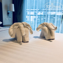 фото из отзыва ID 1870914