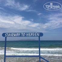 фото из отзыва ID 1872465