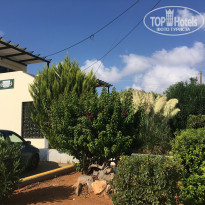 фото из отзыва ID 1872465